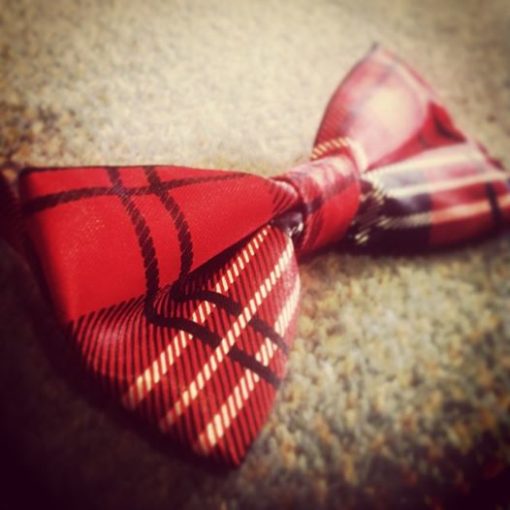 red checked bow tie