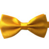 tulip_tree_yellow_bow_tie_rack_australia