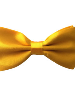 tulip_tree_yellow_bow_tie_rack_australia