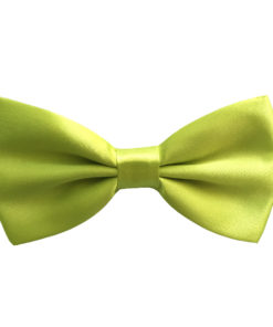 wild_willow_green_bow_tie_rack_australia