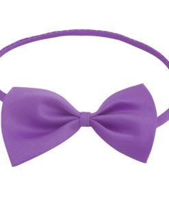 purple_butterfly_kids_bow_tie