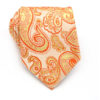 orange_paisley_neck_tie_australia